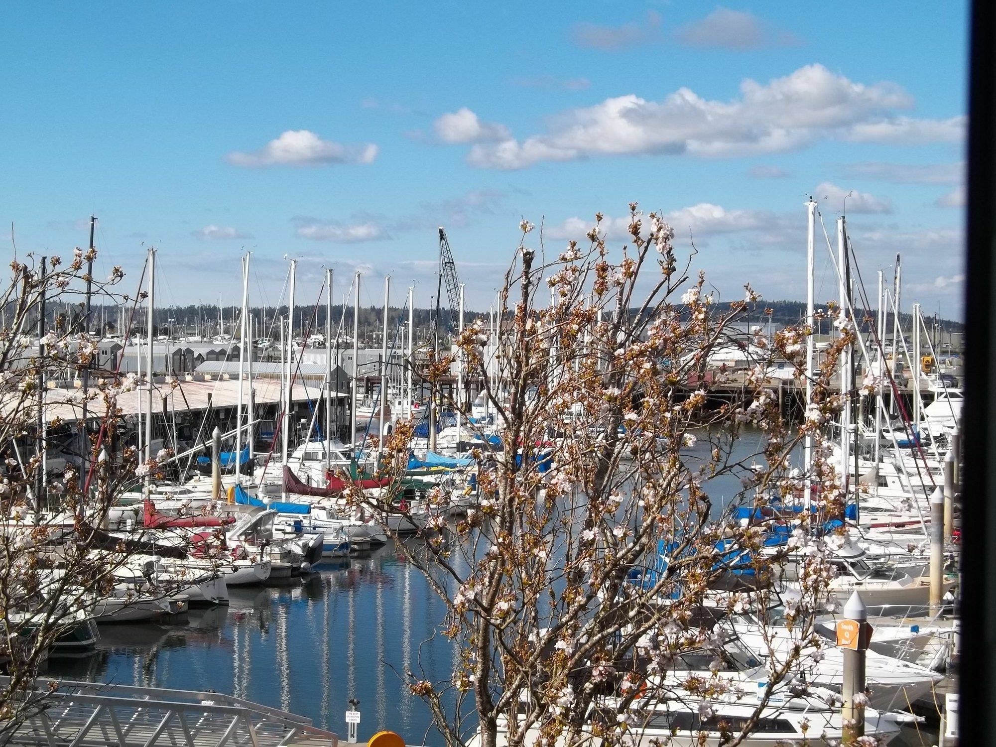 Inn At Port Gardner-Everett Waterfront, Ascend Hotel Collection Extérieur photo